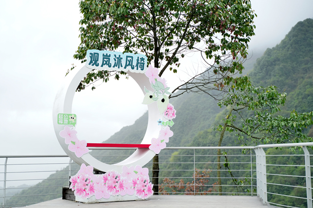 汶川賞花音樂季:光影交織的戶外文旅盛宴 汶川賞花音樂季:光影交織的戶外文旅盛宴