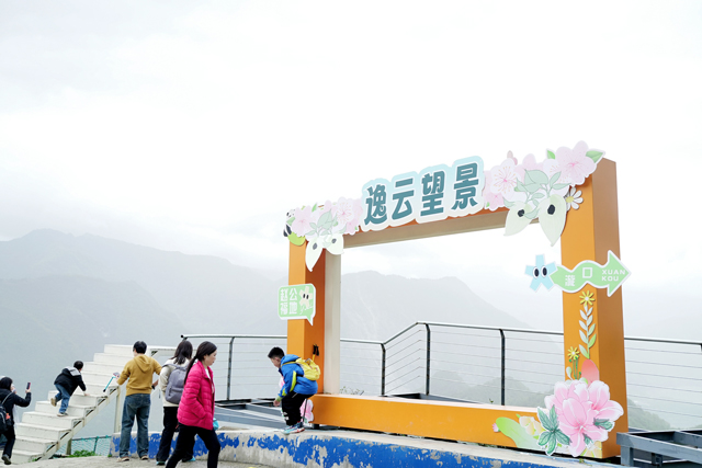 汶川賞花音樂季:光影交織的戶外文旅盛宴 汶川賞花音樂季:光影交織的戶外文旅盛宴
